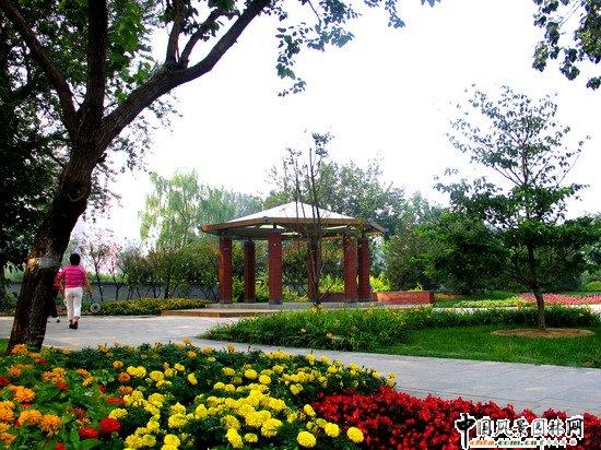 工程名称:松林里绿地绿化工程 施工单位:北京龙腾园林绿化工程公司 本